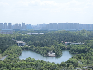 前湖校區眺望孝彭書院和國際教育學院